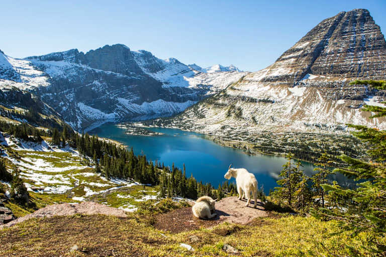 Top Montana Nursing Schools and Programs