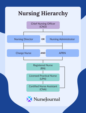 A flow chart of the hierarchy of nursing roles. The Chief Nursing Officer (CNO) is on their own row at the top of the hierarchy with a Nursing Director or Nursing Administrator on the same line below the CNO. Charge Nurse and APRN are on the next row below, showing that they respond to any of the roles above. Below, there a direct command line with Registered Nurse (RN), Licensed Practical Nurse (LPN) and Certified Nurse Assistant (CNA).